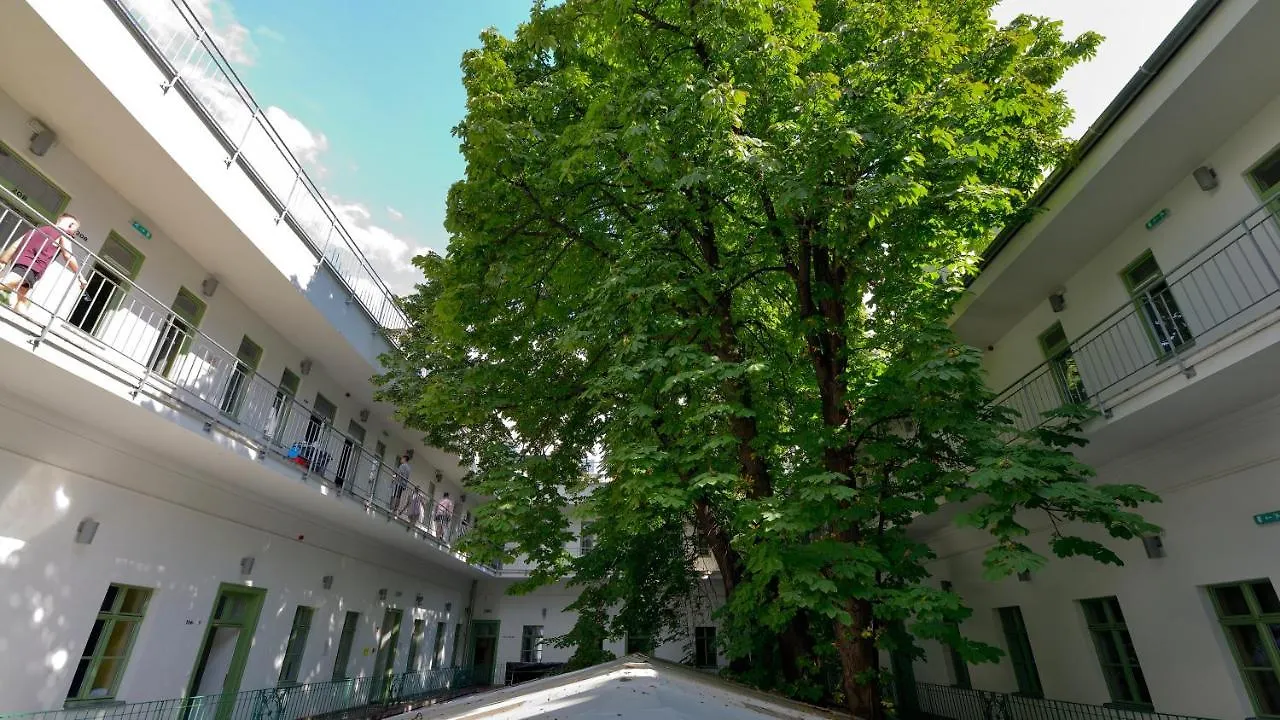 The Hive Party Hostel בודפשט